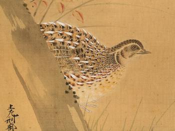 Quails in the autumn grasses with a mountain in the background by 
																			Tosa Mitsunari