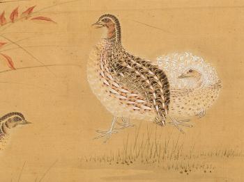 Quails in the autumn grasses with a mountain in the background by 
																			Tosa Mitsunari