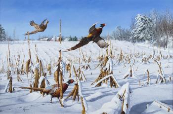 A Touch of Winter (Pheasants) by 
																			David Maass