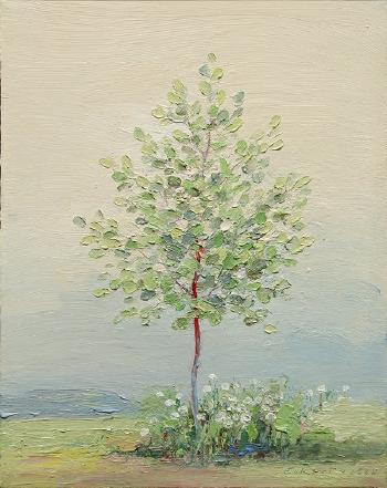 Young Sycamore by 
																			Charles Eckart