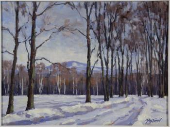 Winter road by 
																			Stefan Pastuhov