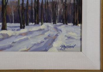 Winter road by 
																			Stefan Pastuhov