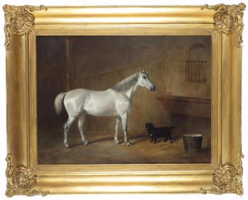 A grey in a stable with a dog by 
																			Joseph Maiden