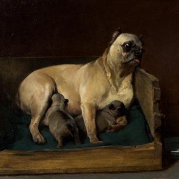 Pug Lady with Puppies by 
																			Carl Steffek