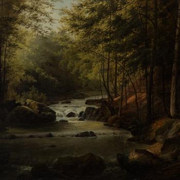 Forest landscape with river by 
																			Josef Langl
