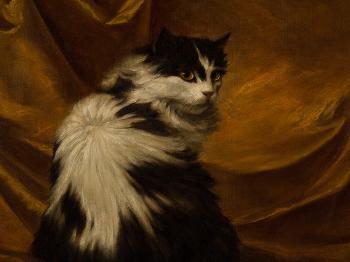 Portrait of a Cat by 
																			Carl Kahler