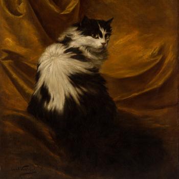 Portrait of a Cat by 
																			Carl Kahler