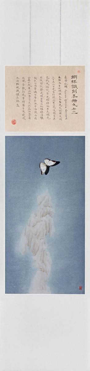 Butterfly manual no.12 by 
																	 Hang Chunhui