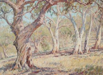 Field of Gum Trees by 
																			John Thomas Rowell