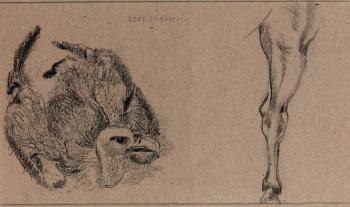 Etude de vautour et de jambe by 
																	Edme de Saint-Marcel