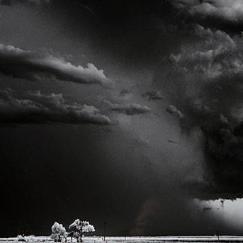 Trees, clouds; Arm of God by 
																			Mitch Dobrowner