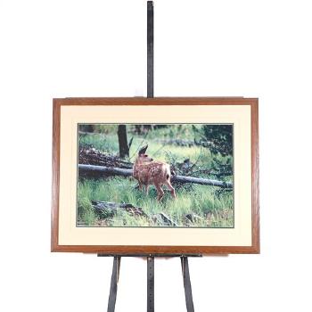 First Summer-Mule Deer Fawn; Eagle by 
																			Thomas Mangelsen