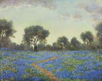 Bluebonnet meadow, Willow Loop by 
																	Jerry Malzahn
