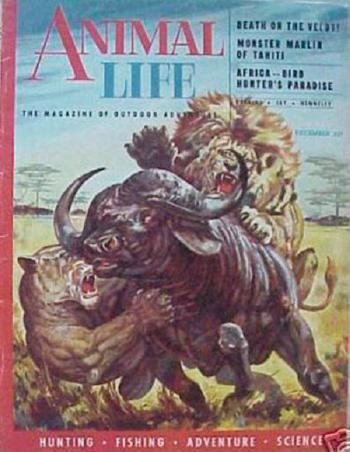 Death on the Velosi, Animal Life magazine cover, December 1953 by 
																			Henry Luhrs