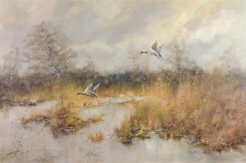Ducks in Flight by 
																			H Hansung