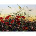 Untitled (Field of Poppies) by 
																			Maya Eventov