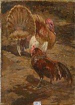 Le coq et le dindon by 
																	Mariano Barbasan