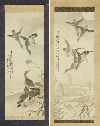 Wild geese and reed by 
																			 Ahn Joong Sik