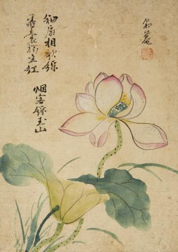 Lotus by 
																			 Kang SeHwang