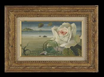 White Rose on the beach by 
																			Rastislaw Rakoff