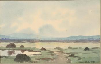 Views of County Mayo by 
																			Maureen O'Hara