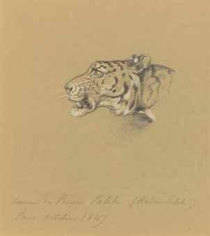 Head of a Tiger by 
																	Raden Saleh
