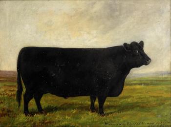 An Aberdeen Angus in a landscape by 
																	E S England