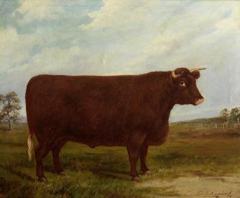 A North Devon Bull in a landscape by 
																	E S England