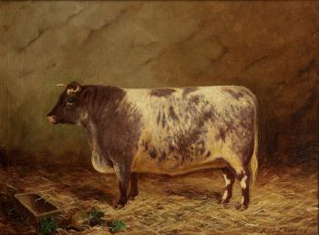 A shorthorn cow in a barn by 
																	E S England