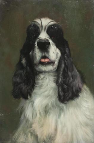 Black and white Cocker Spaniel by 
																	Henry S Quarrie
