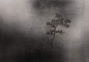 Pine Tee by 
																	 Zhu Jianzhong