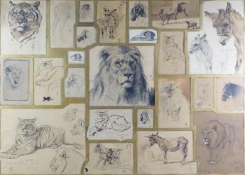 Montage rassemblant vingt-quatre études d'animaux by 
																			Ferdinand Oger