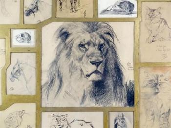 Montage rassemblant vingt-quatre études d'animaux by 
																			Ferdinand Oger