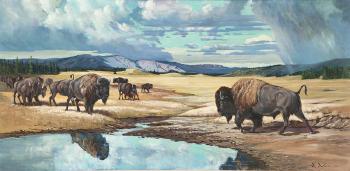 Buffalo on a plain by 
																			Raymond Dushane