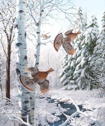 Winter Wonder Ruffed Grouse by 
																			David Maass