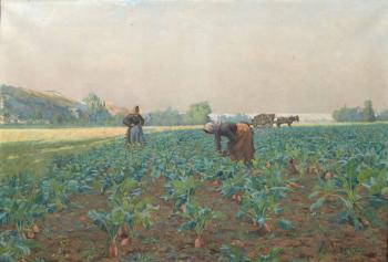 Femmes travaillant dans un champs de betteraves by 
																	Achille Varin