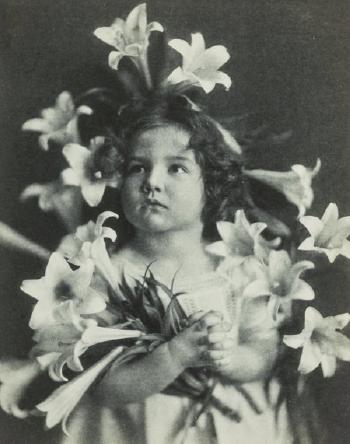Easter Lilies (Elinor Sagebeil) by 
																			Jane Reece