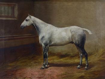 White Horse by 
																			William Henry Hamilton Trood