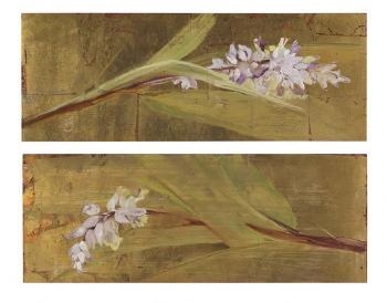 Ginger flower diptych by 
																			Frances Swigart