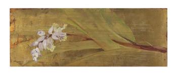 Ginger flower diptych by 
																			Frances Swigart