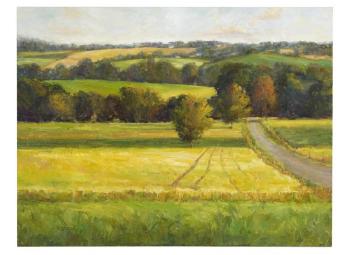 Fields by 
																			Mary Kay Forgason