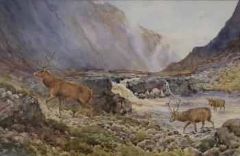 Deer crossing the river Coe by 
																			Andrew Scott Rankin