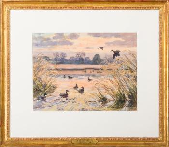Ducks in the marsh at sunset by 
																	Aiden Lassell Ripley