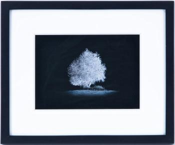 L'arbre blanc by 
																	Matthieu Gafsou