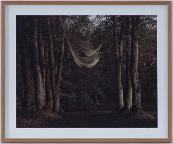 Filet dans la forêt by 
																	Matthieu Gafsou