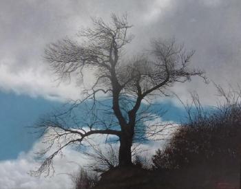 Composition à l’arbre by 
																	Michele Taricco