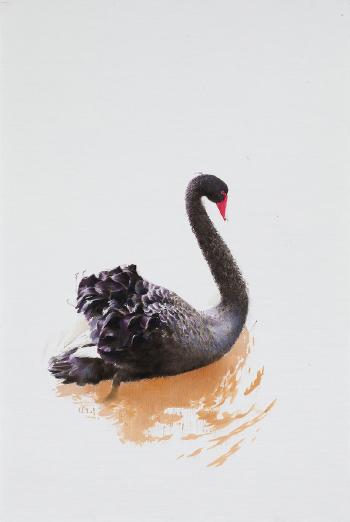 Black Swan series no.3 by 
																	 Xu Qingfeng