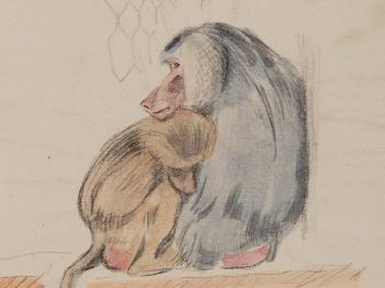 Baboon with a Cub by 
																			Nikolai Andreevich Tyrsa