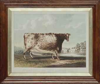 The Airedale Heifer by 
																	Richard Gilson Reeve