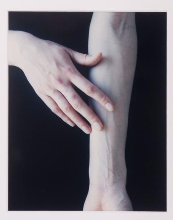 Untitled (Arm and Hand) by 
																	Carla van de Puttelaar